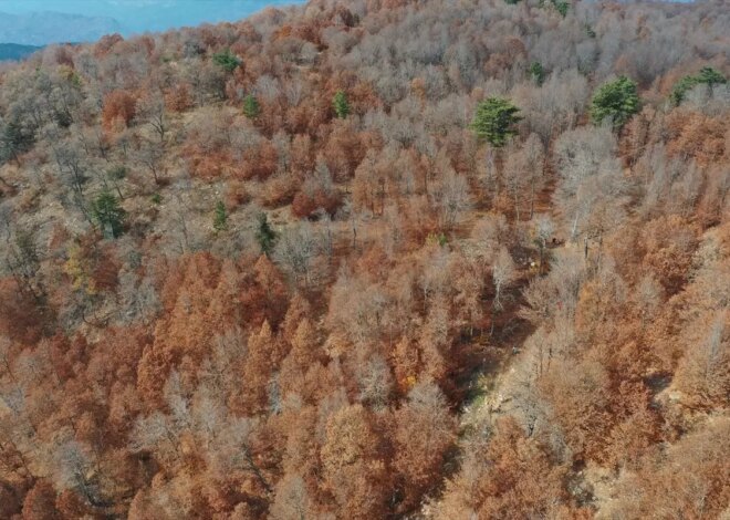 Andırın’ın Sonbahar Güzellikleri